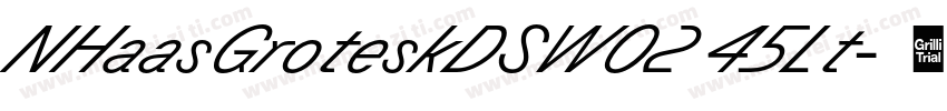 NHaasGroteskDSW02 45Lt字体转换
